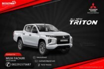 NEW TRITON